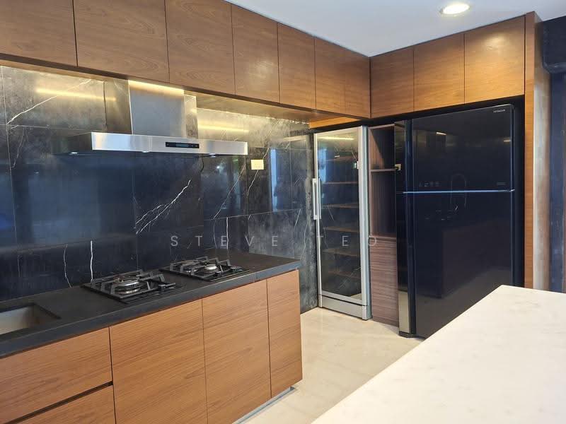 Coronation King's Queen's, Duchess, Tanglin / Holland / Bukit Timah, 5 Bedrooms, 5,000 sqft, Semi-Detached House For Sale, by Steve Teo, 500161208 - Kitchen - PropertyGuru.com.sg