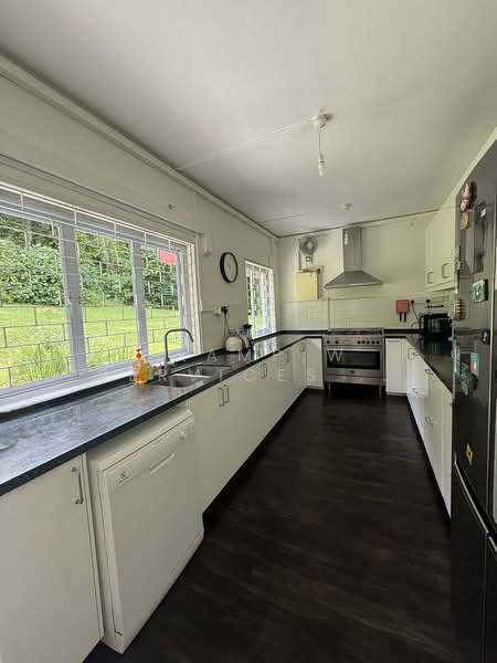 28 Ridout Road, Ridout Road, 3 Bedrooms, 3,820 sqft, Detached House For Rent, by HANNAH LOCK, 500161284 - Kitchen - PropertyGuru.com.sg