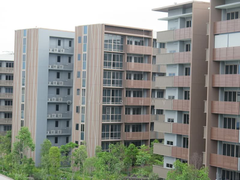 Pasir Ris 8, 8 Pasir Ris Drive 8, 2 Bedrooms, 775 sqft, Apartment For Rent, by Oliver Hay, 500161302 - Exterior - PropertyGuru.com.sg
