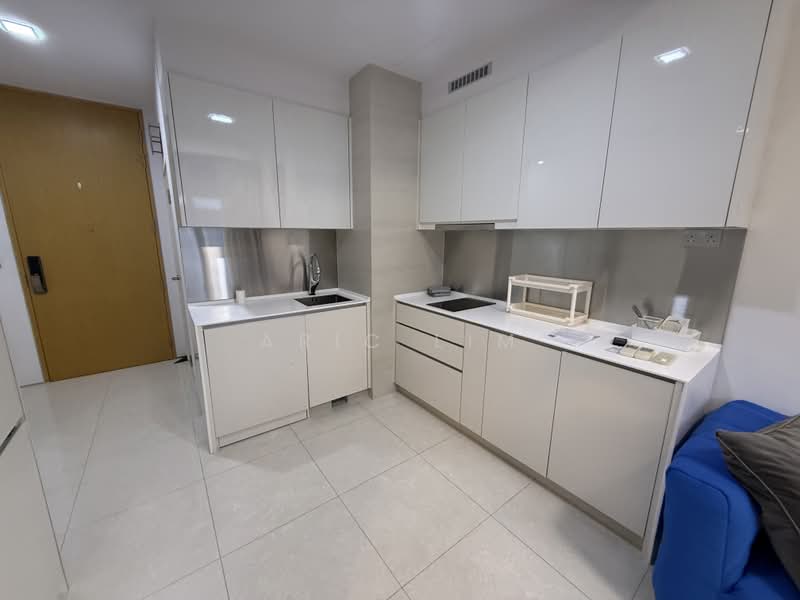 The Creek @ Bukit, 17 Toh Tuck Road, 1 Bedroom, 441 sqft, Condominium For Rent, by Aric Lim, 500161477 - Kitchen - PropertyGuru.com.sg