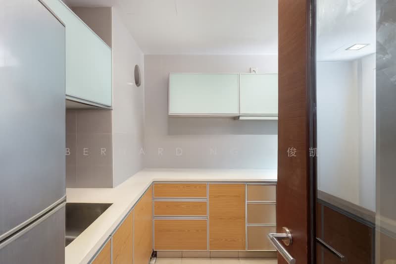 Fruition, 3 Mangis Road, 2 Bedrooms, 743 sqft, Condominium For Sale, by Bernard Ng 黄俊凯, 500161604 - Kitchen - PropertyGuru.com.sg