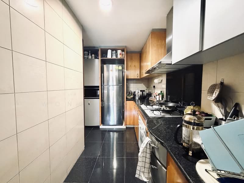 River Place, 62 Havelock Road, 1 Bedroom, 743 sqft, Condominium For Sale, by Wong Boon Keng, 500161932 - Kitchen - PropertyGuru.com.sg