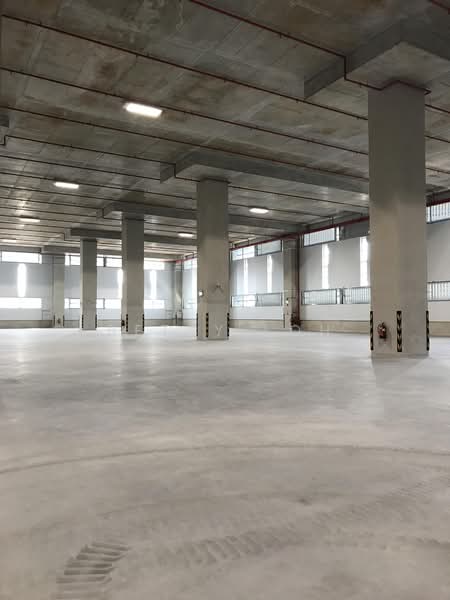 8m Clear Ceiling Height, 5 Dedicated Loading Bays - Near MRT, , 38,000 sqft, Warehouse For Rent, by Betsy Loh, 500162021 - Interior - CommercialGuru.com.sg