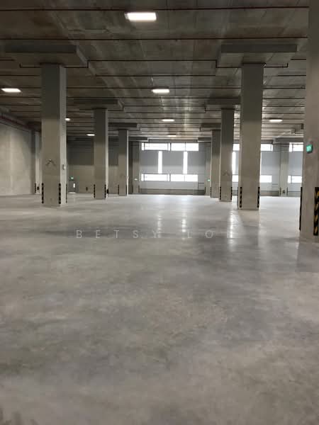8m Clear Ceiling Height, 5 Dedicated Loading Bays - Near MRT, , 38,000 sqft, Warehouse For Rent, by Betsy Loh, 500162021 - Interior - CommercialGuru.com.sg