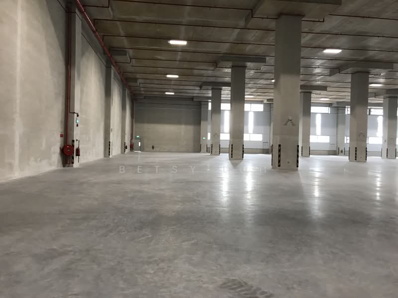 8m Clear Ceiling Height, 5 Dedicated Loading Bays - Near MRT, , 38,000 sqft, Warehouse For Rent, by Betsy Loh, 500162021 - Interior - CommercialGuru.com.sg