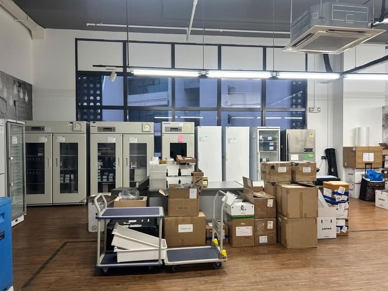 HH @ Kallang, 55 Kallang Pudding Road, 1,927 sqft, Light Industrial (B1) For Rent, by Ssharon Loh, 500162256 - CommercialGuru.com.sg