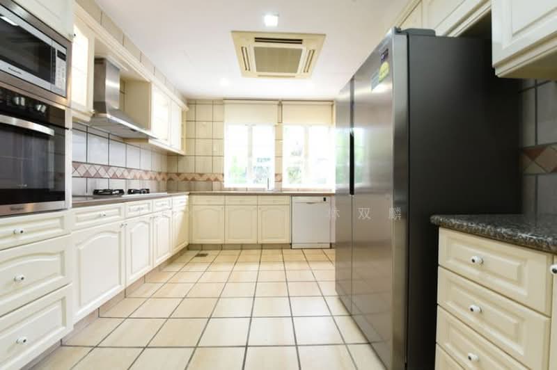 NOVENA AREA, , 5 Bedrooms, 10,000 sqft, Detached House For Rent, by Lex Lim 林双麟, 500162594 - Kitchen - PropertyGuru.com.sg