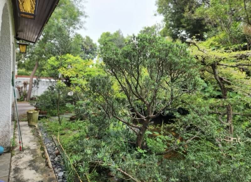 Rare !!! Squarish Plot Of Land For Rebuild,Don’t Miss !!!, Changi Road , Siglap View, 4 Bedrooms, 1,584 sqft, Detached House For Sale, by Leslie Lim, 500162642 - Garden - PropertyGuru.com.sg