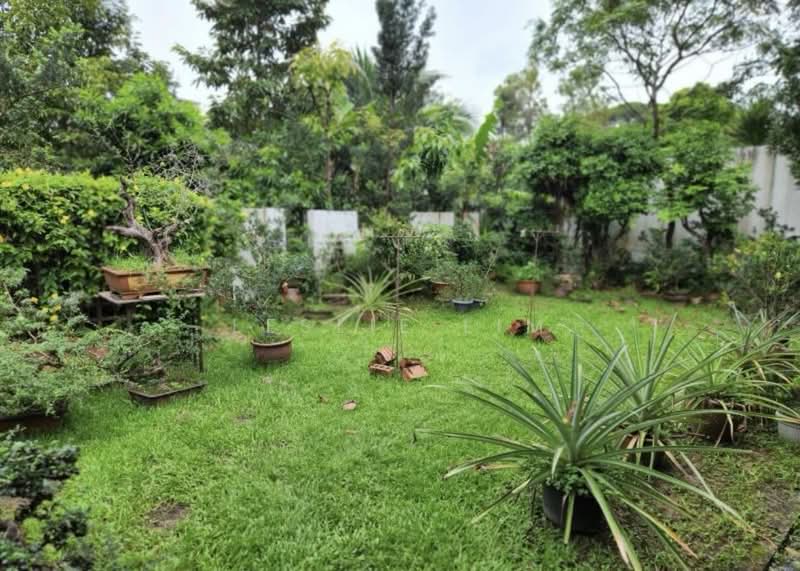 Rare !!! Squarish Plot Of Land For Rebuild,Don’t Miss !!!, Changi Road , Siglap View, 4 Bedrooms, 1,584 sqft, Detached House For Sale, by Leslie Lim, 500162642 - Garden - PropertyGuru.com.sg