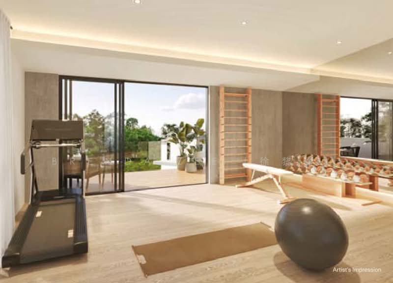 Brand New Detached ✧ Bukit Timah enclave ✧ BRENDA ZEE ✧ 945O9938, Kheam Hock Road, Merryn Road, Trevose Crescent, Newton / Novena, 6 Bedrooms, 11,864 sqft, Detached House For Sale, by Brenda Zee (徐黎倫), 500162826 - Gym - PropertyGuru.com.sg