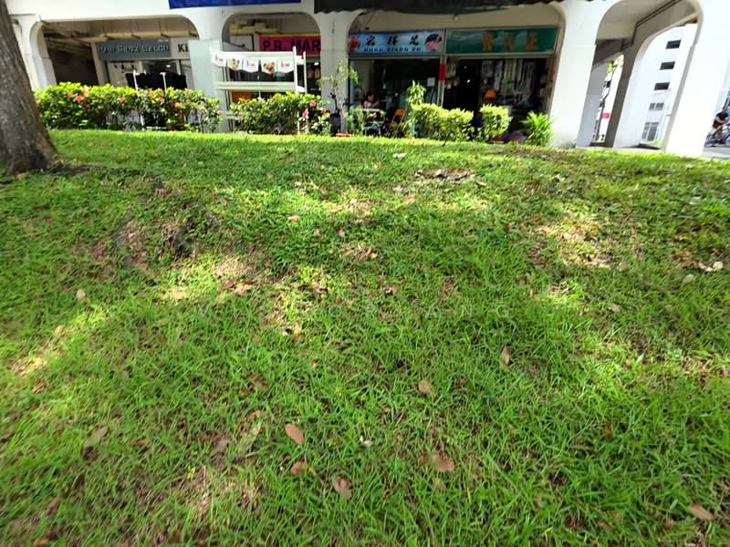 239 Yishun Ring Road Central, Yishun Ring Road, 2,153 sqft, Shop / Shophouse For Sale, by Victor Ang, 500162948 - Raised Ground enhance Shops' Exposure - CommercialGuru.com.sg
