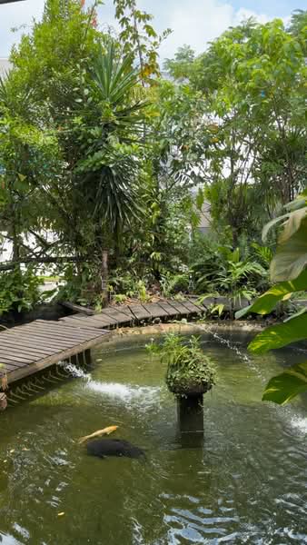 93 Jalan Binchang, Jalan Binchang, 4 Bedrooms, 3,886 sqft, Semi-Detached House For Sale, by Elena Rony, 500162990 - Garden - PropertyGuru.com.sg