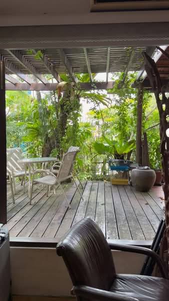 93 Jalan Binchang, Jalan Binchang, 4 Bedrooms, 3,886 sqft, Semi-Detached House For Sale, by Elena Rony, 500162990 - Garden - PropertyGuru.com.sg
