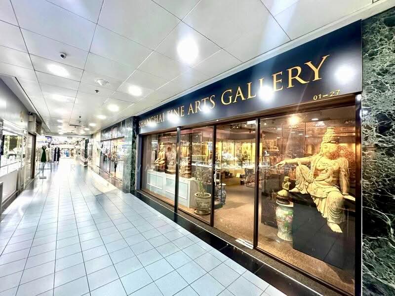 Orchard Towers, 400 Orchard Road, 398 sqft, Other Retail For Rent, by Alvin Chiam, 500163210 - Walkway - CommercialGuru.com.sg
