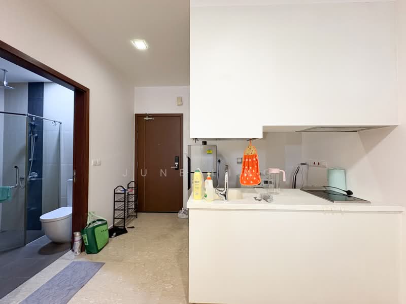 Cavan Suites, 11 Cavan Road, 1 Bedroom, 463 sqft, Apartment For Rent, by June Ling, 500163235 - Kitchen - PropertyGuru.com.sg