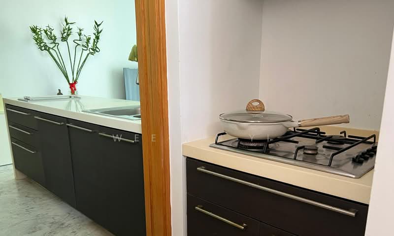 Dukes Residences, 27 Duke's Road, 3 Bedrooms, 1,076 sqft, Condominium For Rent, by Wee Xin Yi, 500163450 - Kitchen - PropertyGuru.com.sg