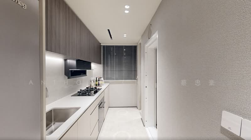 Hudson Place Residences, , 3 Bedrooms, 1,023 sqft, Condominium For Sale, by Anthony Chua 蔡忠豪, 500163628 - Kitchen - PropertyGuru.com.sg
