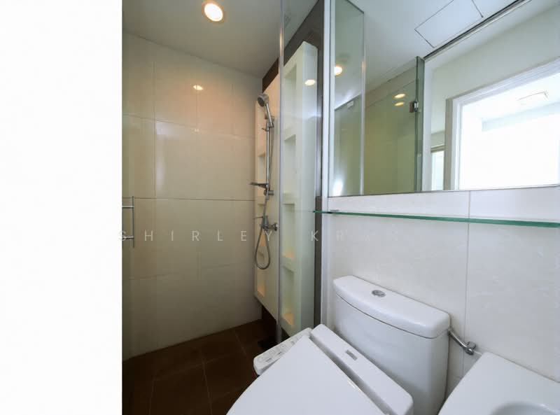 One North Bridge, 1 North Bridge Road, 1 Bedroom, 495 sqft, Apartment For Rent, by Shirley Krans, 500163744 - Bathroom - PropertyGuru.com.sg