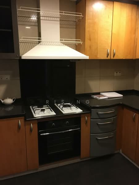 River Place, 60 Havelock Road, 3 Bedrooms, 2,303 sqft, Condominium For Rent, by Ris Ng, 500163957 - Kitchen - PropertyGuru.com.sg