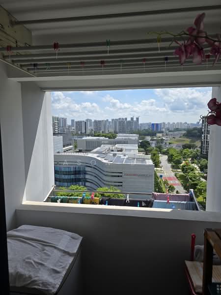 101A Bidadari Park Drive, 101A Bidadari Park Drive, 2 Bedrooms, 732 sqft, HDB Flat For Sale, by Jason Boo, 500163964 - Balcony - PropertyGuru.com.sg