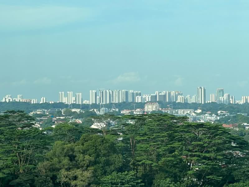 Quinterra, 359 Holland Road, 5 Bedrooms, 4,552 sqft, Condominium For Sale, by Hilda Tong, 500164068 - View - PropertyGuru.com.sg