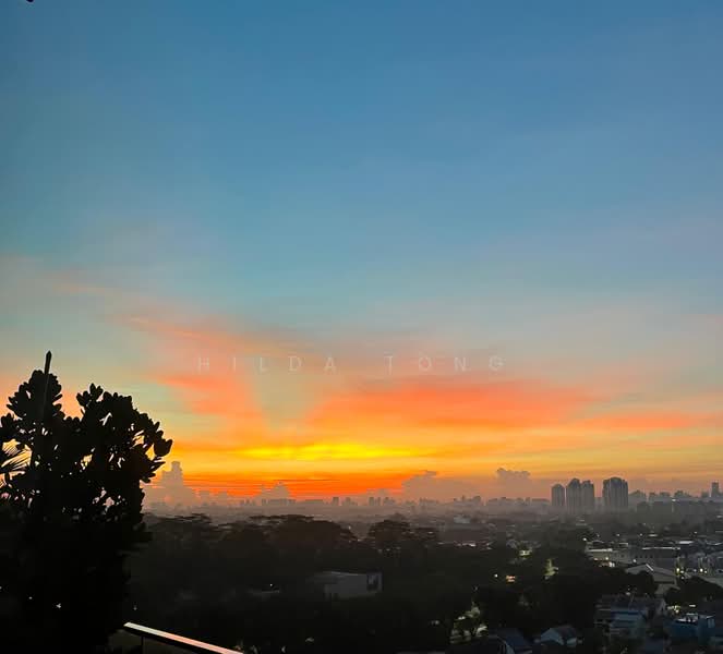 Quinterra, 359 Holland Road, 5 Bedrooms, 4,552 sqft, Condominium For Sale, by Hilda Tong, 500164068 - View - PropertyGuru.com.sg