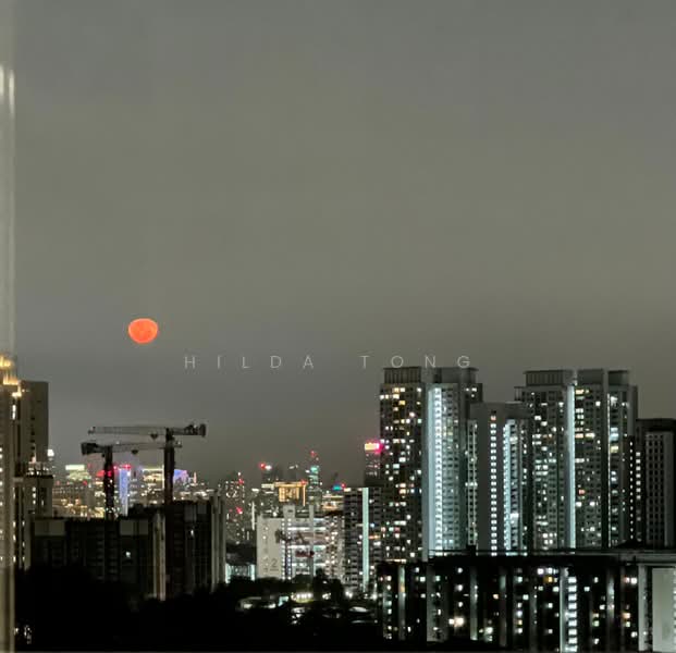 Quinterra, 359 Holland Road, 5 Bedrooms, 4,552 sqft, Condominium For Sale, by Hilda Tong, 500164068 - Exterior - PropertyGuru.com.sg