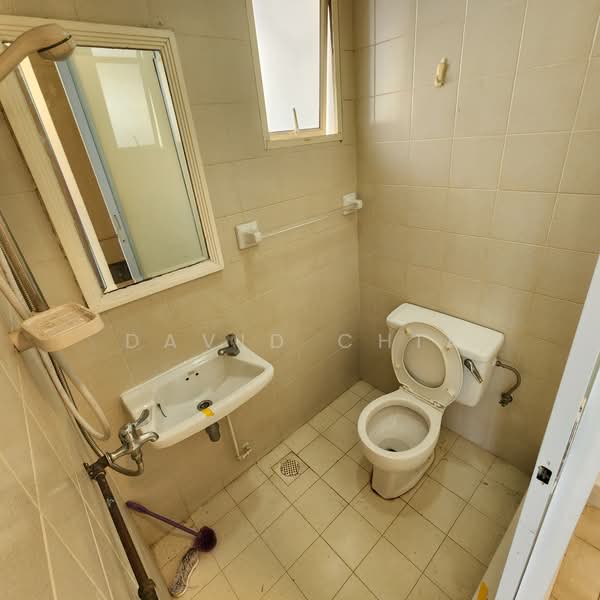 Holland Grove View, Holland Grove View, 5 Bedrooms, 4,050 sqft, Semi-Detached House For Sale, by David Chia, 500164177 - Bathroom - PropertyGuru.com.sg