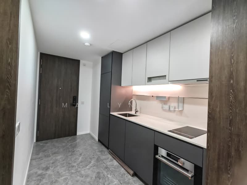 The M, 30 Middle Road, 2 Bedrooms, 592 sqft, Condominium For Rent, by Marilyn Tan, 500164249 - Kitchen - PropertyGuru.com.sg
