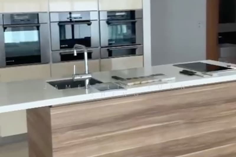 Parvis, 16 Holland Hill, 4 Bedrooms, 3,229 sqft, Condominium For Sale, by James Lim Yuan Sheng, 500164262 - Kitchen - PropertyGuru.com.sg