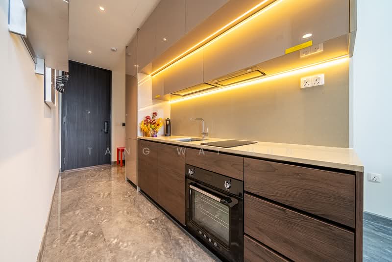 Sky Everton, 50 Everton Road, 1 Bedroom, 592 sqft, Condominium For Rent, by Tang Wai Mun, 500164306 - Kitchen - PropertyGuru.com.sg