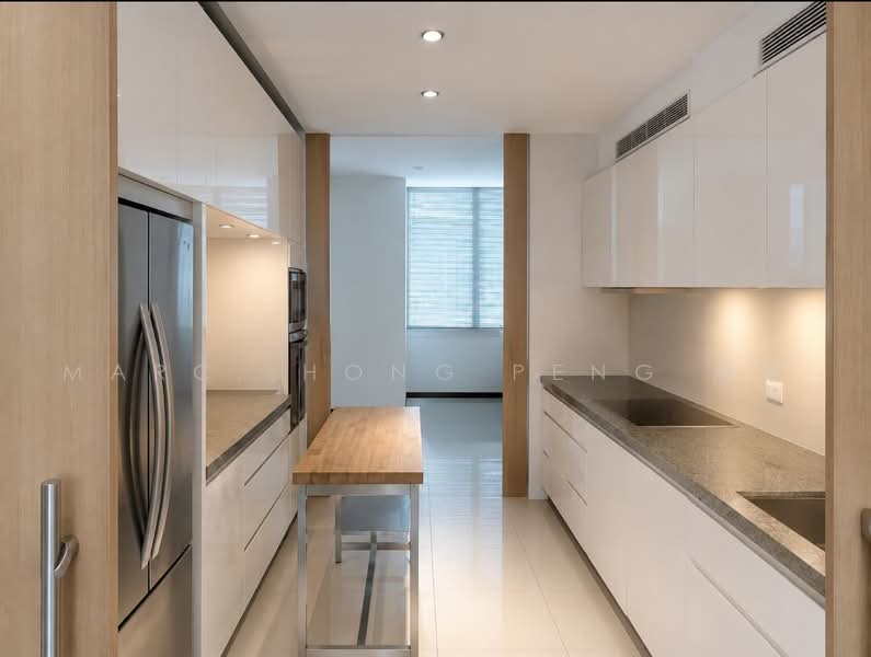 Grange Residences, 91 Grange Road, Tanglin / Holland / Bukit Timah, 4 Bedrooms, 2,669 sqft, Condominium For Sale, by Marc, Hong Peng 洪平, 500164317 - Kitchen - PropertyGuru.com.sg