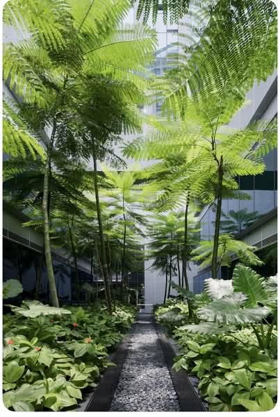 Novena Specialist Center, 8 Sinaran Drive, 1,440 sqft, Medical For Sale, by Zoeys Tan, 500164597 - Garden - CommercialGuru.com.sg