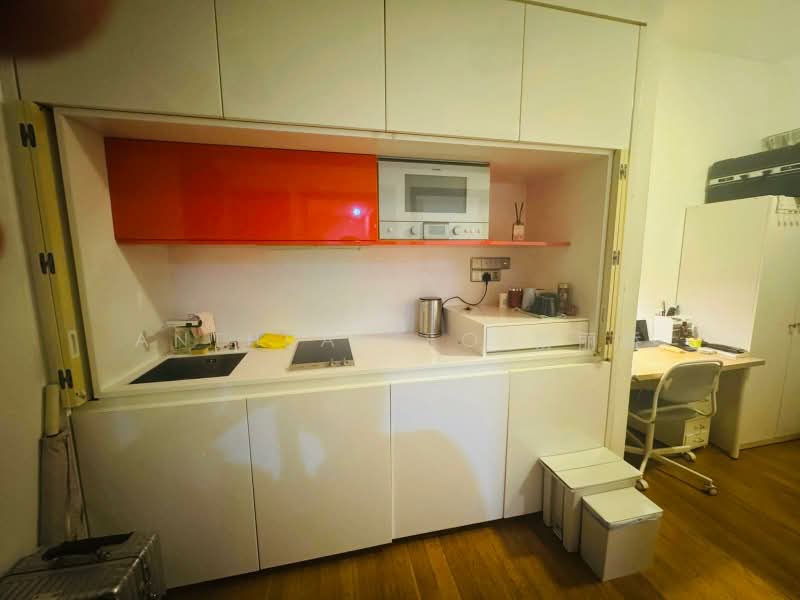 Espada, 48 Saint Thomas Walk, 1 Bedroom, 344 sqft, Condominium For Rent, by Anthea Yeo 杨丽娇, 500164768 - Kitchen - PropertyGuru.com.sg