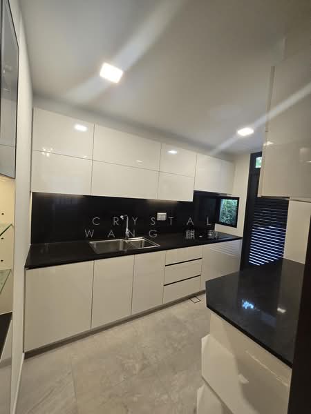 Belgravia Ace, 100 Belgravia Drive, 5 Bedrooms, 4,058 sqft, Semi-Detached House For Rent, by Crystal Wang 麒麟, 500164798 - Kitchen - PropertyGuru.com.sg