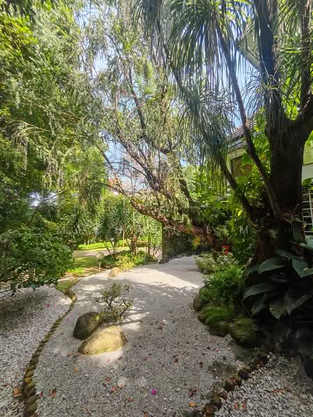 Priced to Sell. Elevated Land. Rebuild to Enjoy Unblock View, , 7 Bedrooms, 6,500 sqft, Bungalow House For Sale, by Michael Lim, 500164945 - Garden - PropertyGuru.com.sg