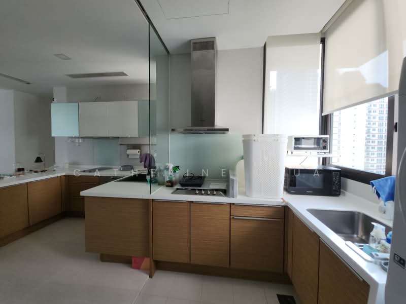 Leonie Parc View, 22 Leonie Hill Road, 4 Bedrooms, 2,260 sqft, Apartment For Rent, by Catherine Chua, 500165225 - Kitchen - PropertyGuru.com.sg
