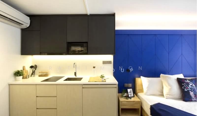 Coliwoo Keppel, , Studio, 250 sqft, Condominium For Rent, by Rathi Menon, 500165332 - Kitchen - PropertyGuru.com.sg