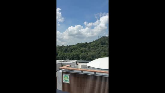 The Botany at Dairy Farm, 7 Dairy Farm Walk, 4 Bedrooms, 1,033 sqft, Condominium For Rent, by CY Chan, 500165377 - PropertyGuru.com.sg