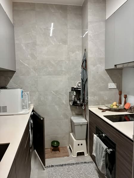 Stirling Residences, 23 Stirling Road, 2 Bedrooms, 689 sqft, Condominium For Rent, by Gabriel Ong, 500165478 - Kitchen - PropertyGuru.com.sg