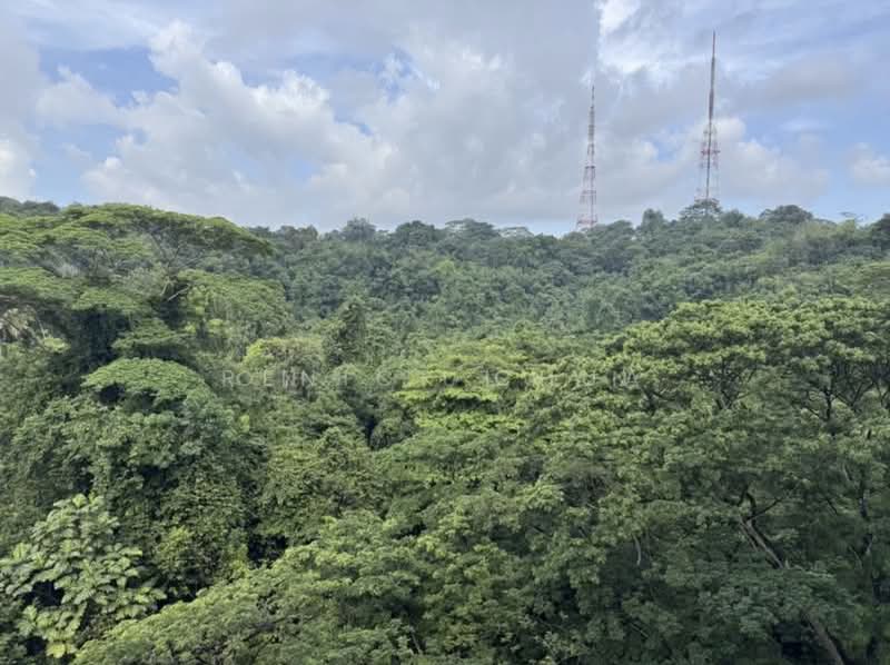 Meralodge, 83 Hillview Avenue, 3 Bedrooms, 1,765 sqft, Condominium For Sale, by Renick Chua, 500165561 - Exterior - PropertyGuru.com.sg