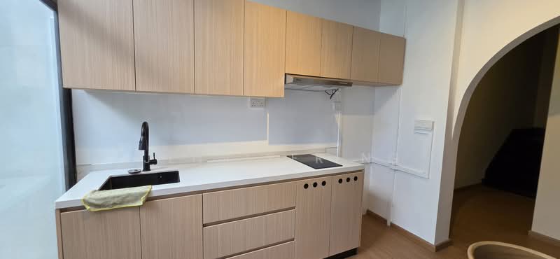 Hindoo Road, , 4 Bedrooms, 2,260 sqft, Conservation House For Rent, by Jennifer Ng, 500165678 - Kitchen - PropertyGuru.com.sg