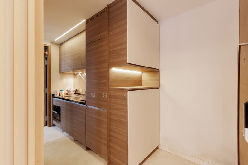 8 Saint Thomas, 8 Saint Thomas Walk, 1 Bedroom, 441 sqft, Condominium For Sale, by Yang Chuyi, 500165701 - Kitchen - PropertyGuru.com.sg