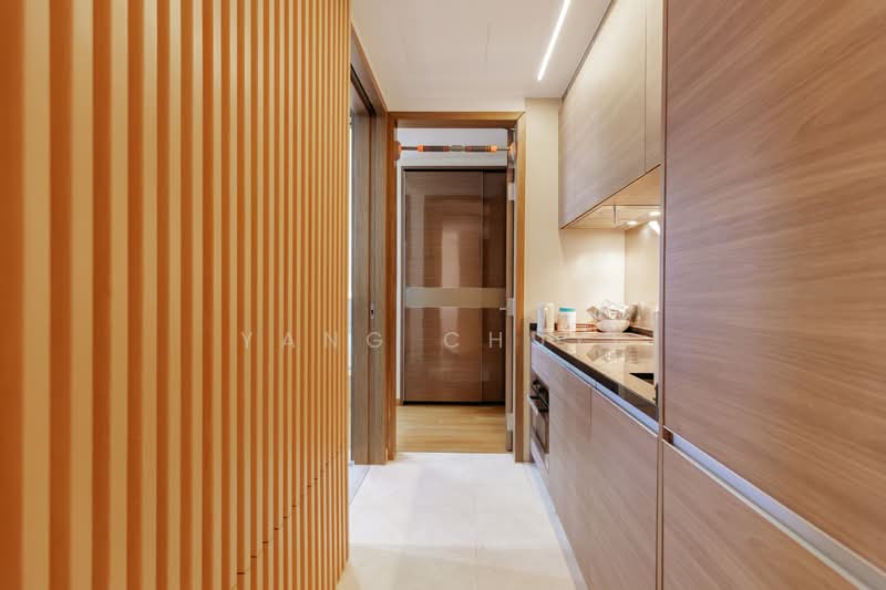 8 Saint Thomas, 8 Saint Thomas Walk, 1 Bedroom, 441 sqft, Condominium For Sale, by Yang Chuyi, 500165701 - Kitchen - PropertyGuru.com.sg