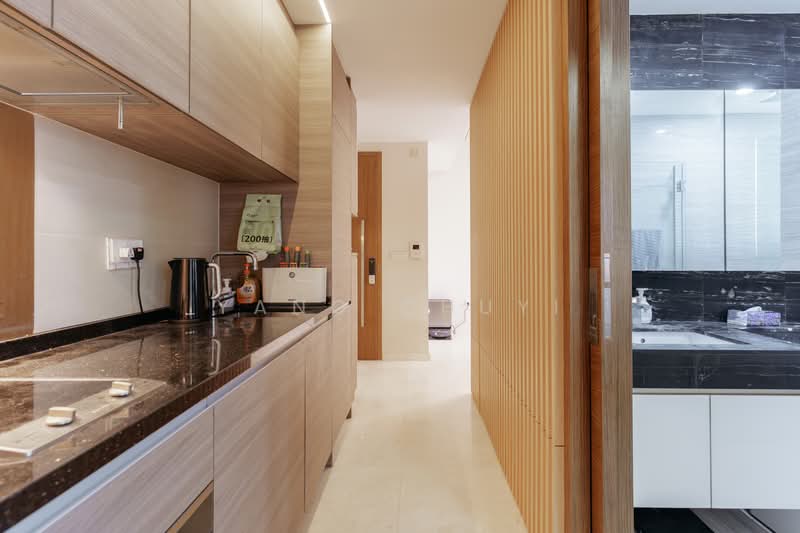 8 Saint Thomas, 8 Saint Thomas Walk, 1 Bedroom, 441 sqft, Condominium For Sale, by Yang Chuyi, 500165701 - Kitchen - PropertyGuru.com.sg