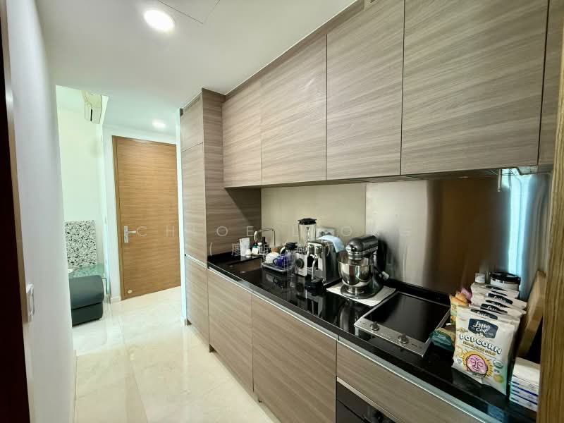 8 Saint Thomas, 8 Saint Thomas Walk, 1 Bedroom, 420 sqft, Condominium For Rent, by Chloe Leong (廖欣燕), 500165846 - Kitchen - PropertyGuru.com.sg