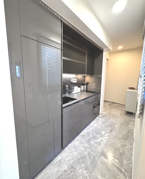 One Bernam, 1 Bernam Street, 2 Bedrooms, 872 sqft, Condominium For Rent, by Harry Boey 梅绍国, 500165891 - Kitchen - PropertyGuru.com.sg
