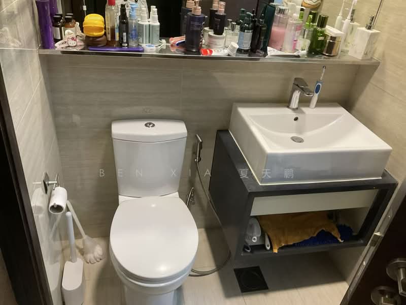 Oxley Edge, 308 River Valley Road, 2 Bedrooms, 420 sqft, Apartment For Rent, by Ben XIA 夏天鹏, 500166022 - Bathroom - PropertyGuru.com.sg