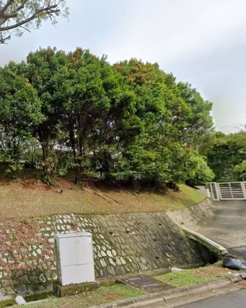 Regular shape⭐️Elevated⭐️Detached⭐️Near MRT⭐️1km SCGS⭐️Rare, Dunearn Estate, 5 Bedrooms, 6,000 sqft, Detached House For Sale, by Lam Wei Shun 林渭舜, 500166098 - Exterior - PropertyGuru.com.sg