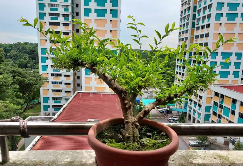 213 Petir Road, 213 Petir Road, 4 Bedrooms, 1,313 sqft, HDB Flat For Sale, by Patrick Chee, 500166258 - Exterior - PropertyGuru.com.sg